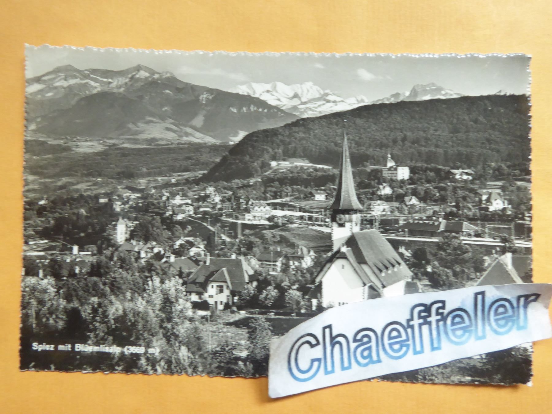 Ansichtskarten: Spiez mit Blüemlisalp – Neu (gemäss Beschreibung) aus Zürich von Chaeffeler