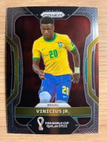Soccer Vinicius Jr. World Cup Qatar 2022 🔥🔥🔥