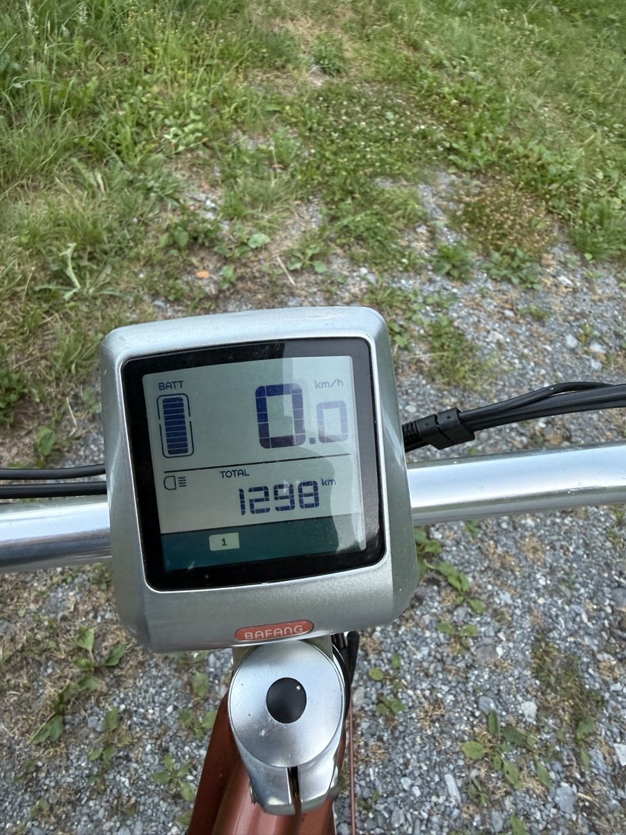Velos: E-velo mit bafang motor – Defekt aus Schwändi GL von Naldoven 2