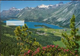 AK Blick auf den Silsersee, Oberengadin mit Sils-Maria