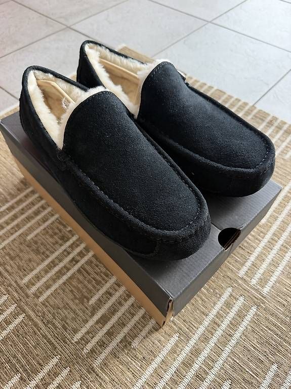 Ugg Scarpe da uomo: UGG Herren M Ascot Gr. 44 – Nuovo (secondo la descrizione) da Wangen ZH venduto da alexia022