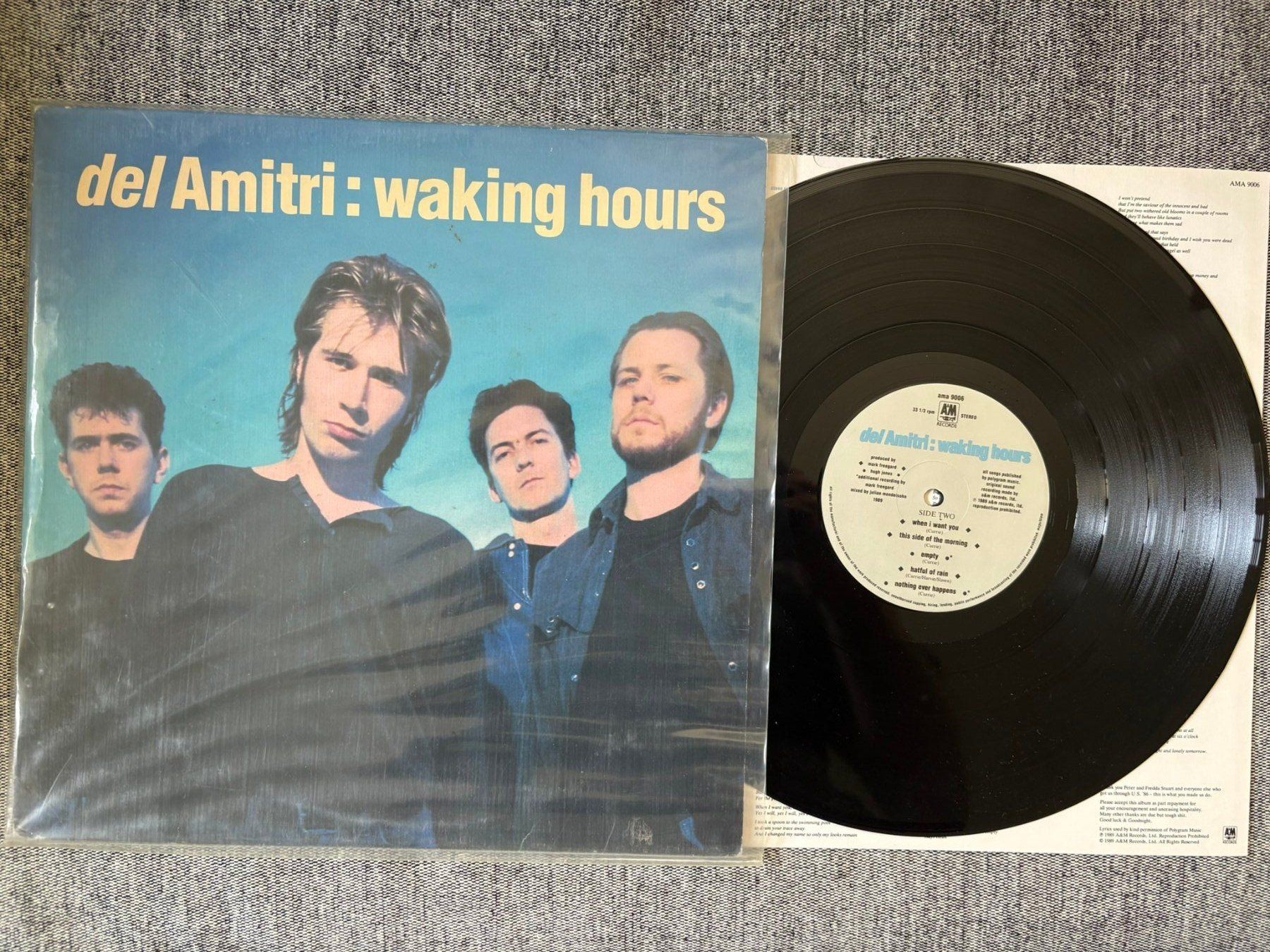 Vinyles: Del Amitri - Waking Hours - UK - 1989 - A&M Records – D'occasion à Zofingen par Bigron