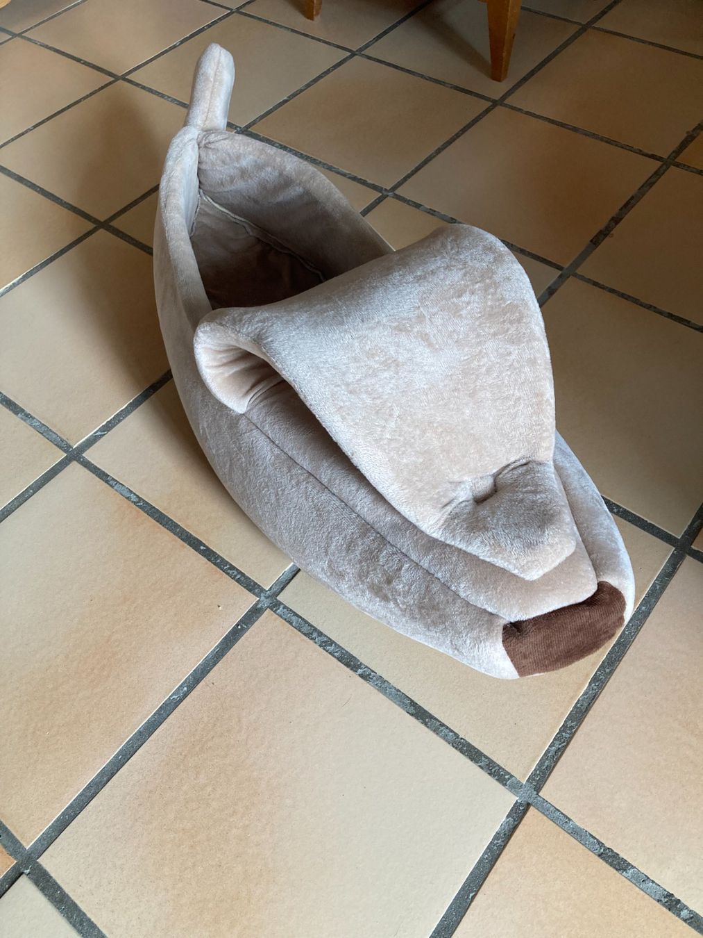 Cucce & Letti: Couffin pour chat – Nuovo (secondo la descrizione) da Lonay venduto da mend03 2