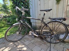 Herren Citibike