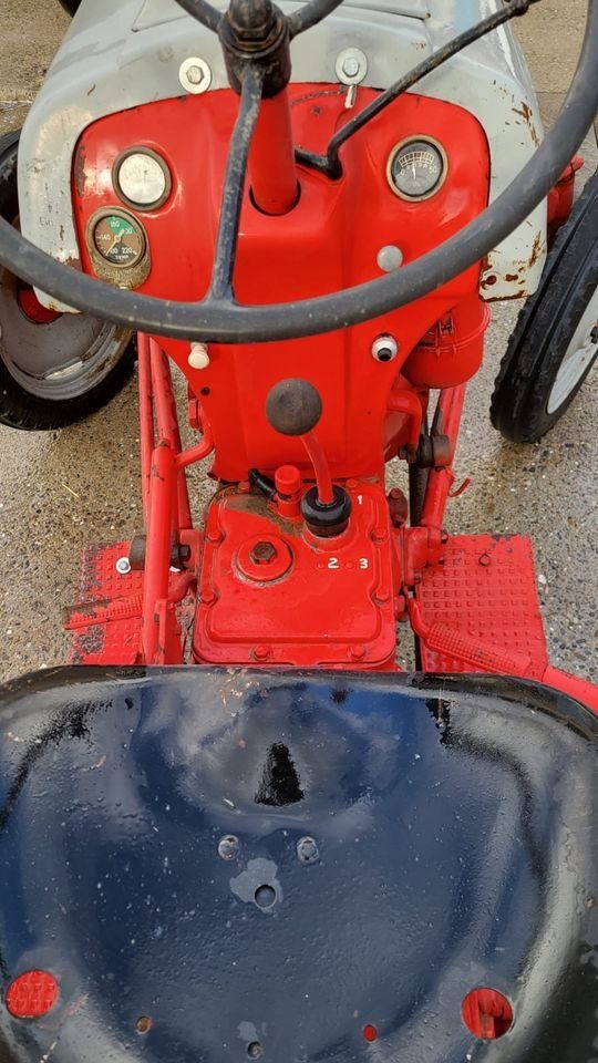 Ford Trattori: Traktor / Ford 8N – Usato da Engwilen venduto da FaehAnhaengerGmbH 7