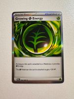 Growing leaf energy EN POR 086/088 HOLO