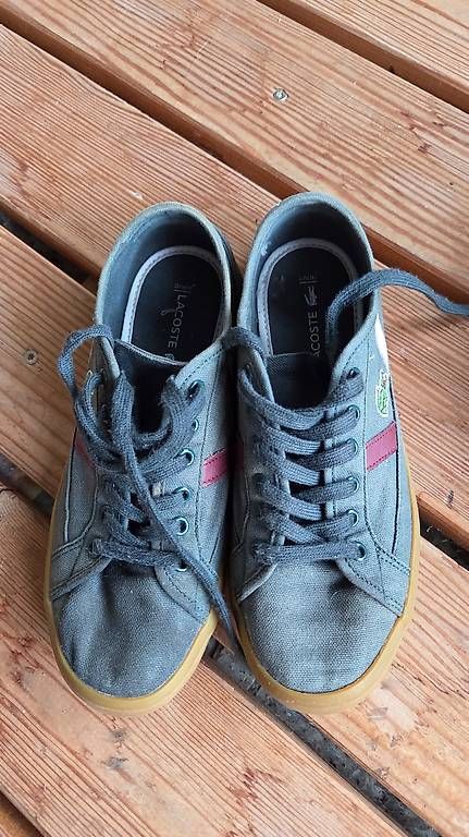 Lacoste Scarpe per ragazzi: Grüne Lacoste Schuhe Grösse 37 – Usato da Würenlingen venduto da ram_97c8