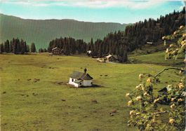 Sachseln, Aelggi-Alp