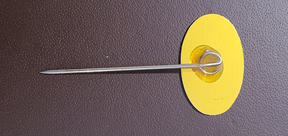 T541 Pin Pins Nadel ca. 60er Jahre Oldtimer - WOLSELEY (Gebraucht) in ...