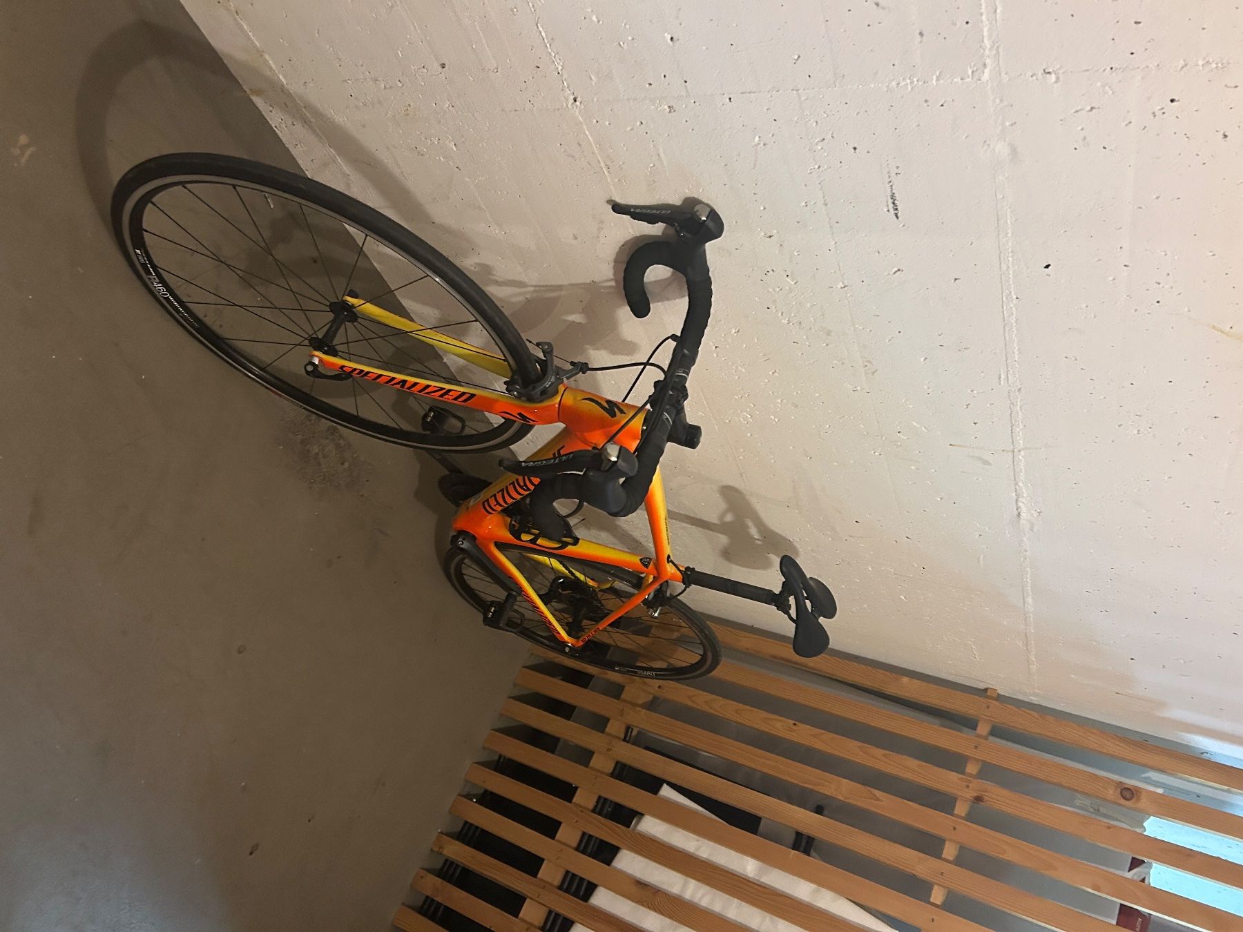 Specialized Biciclette: Specialized Amira Comp Torch Edition - 51, selten genutzt – Usato da Uitikon Waldegg venduto da jul_tq2d 3