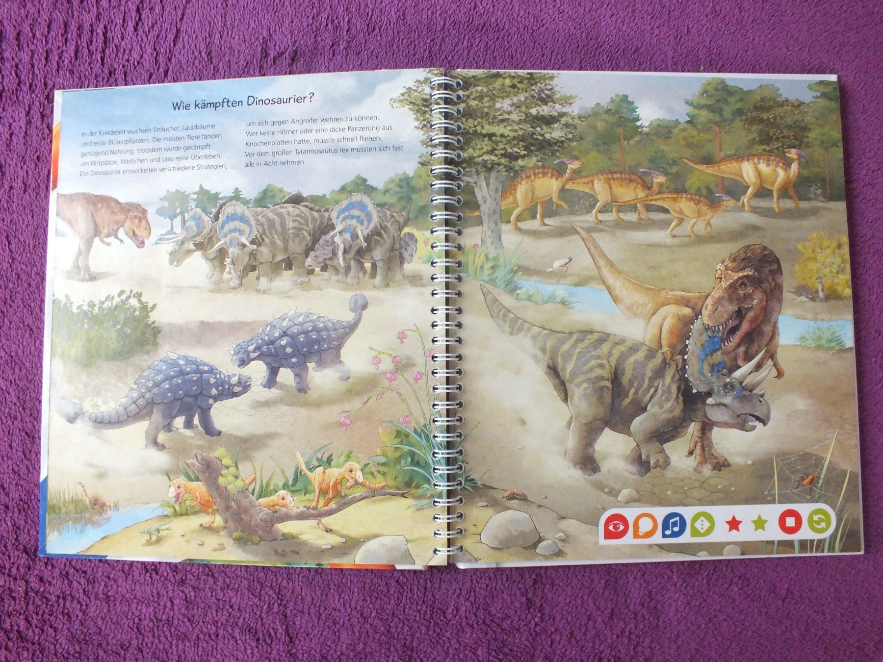 Bücher: tiptoi Buch - Wir entdecken die Dinosaurier – Gebraucht aus Müllheim Dorf von Seeeule01 5