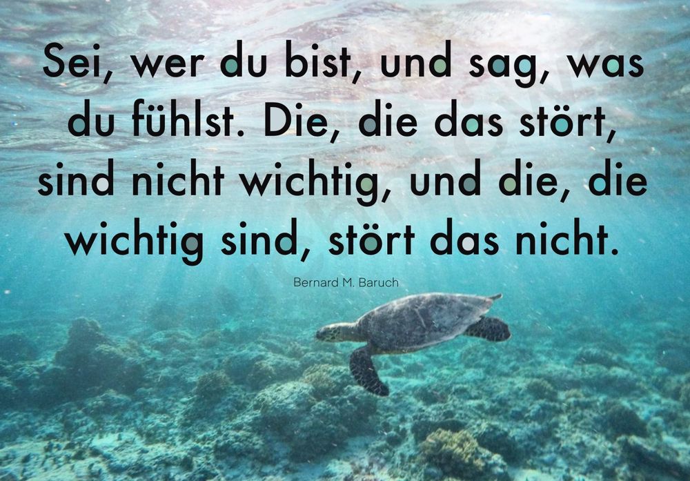 Motivation Spruch Digitale Datei für Poster Karten Kaufen auf