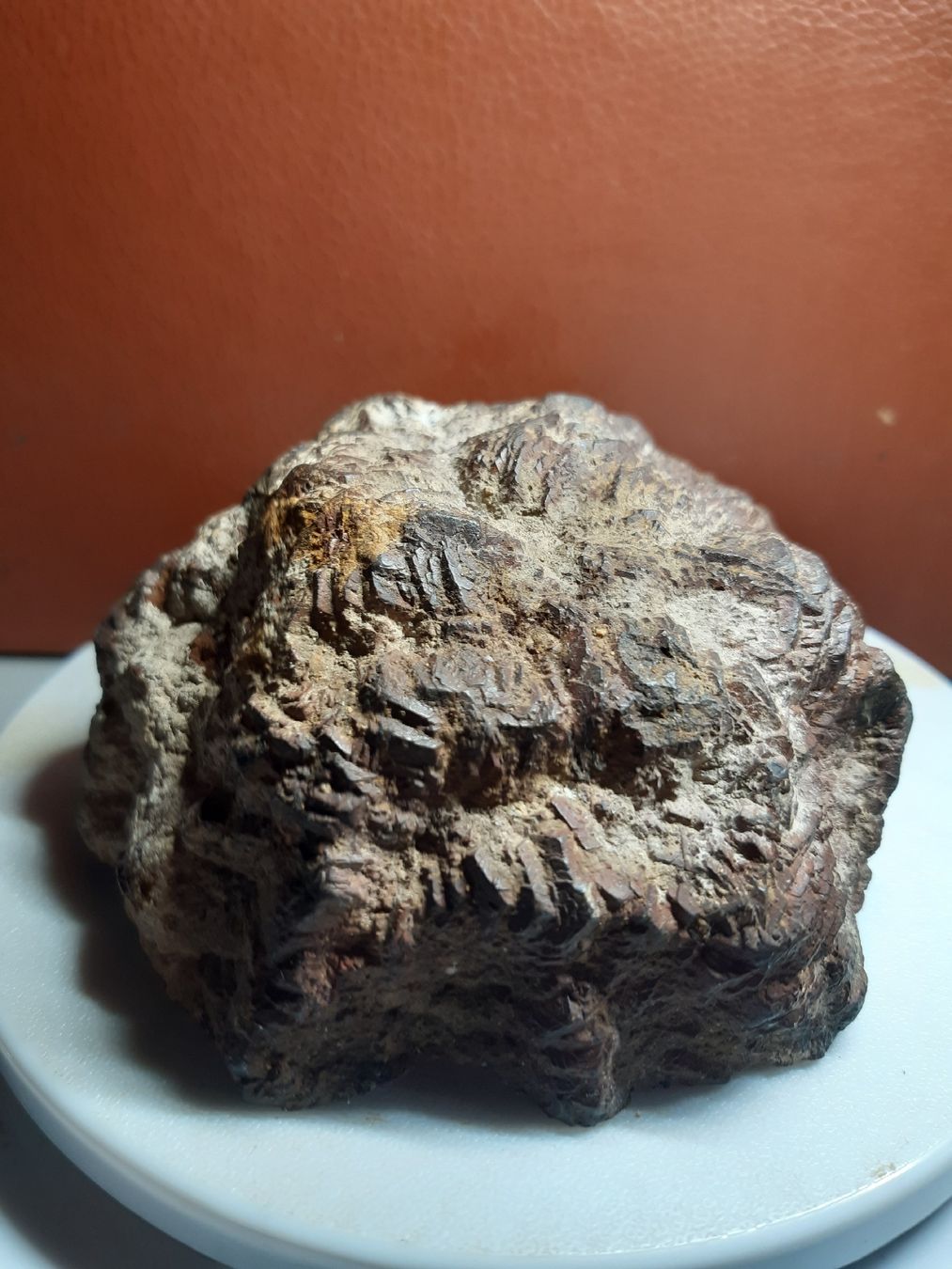 Minerali & Pietre curative: MARCASSITE en nodule 1087gr. – Usato da Genève venduto da dieudedieu 2