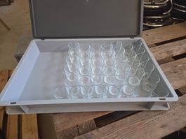 DeEssertgläser in Transportbox gebraucht guter Zustand
