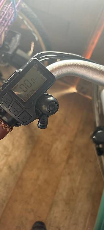 Biciclette: E-Bike Allegro – Nuovo (secondo la descrizione) da Weinfelden venduto da AngelinaBina 3