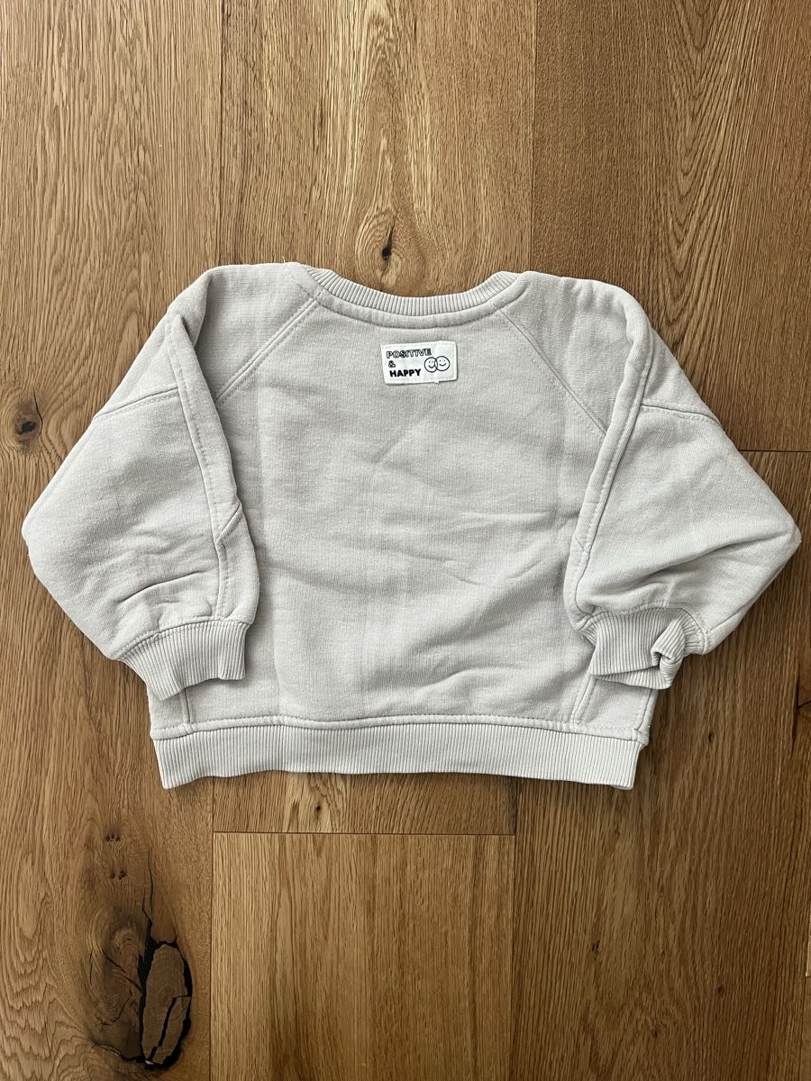 Zara Maglioni & Felpe: Zara Kids - Pullover, Gr. 74 – Usato da Interlaken venduto da fbnscl 2
