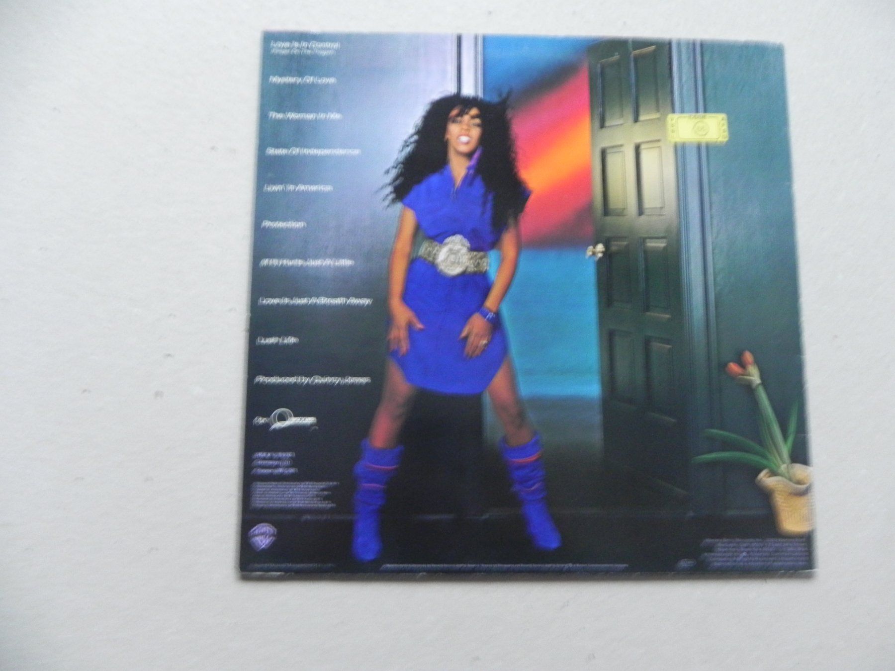 Dischi in vinile: LP USA Soul Disco Donna Summer 1982 – Usato da Siebnen venduto da krimsie 1