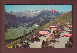 ADELBODEN - Schwandfeldspitz - Wildstrubel - 1964