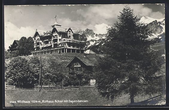 Cartoline postali: Wildhaus, Kurhaus Acker mit Dependancen – Usato da Berlin venduto da bartko-reher