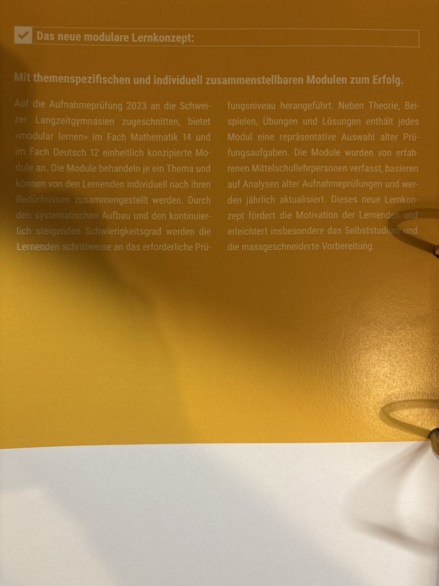 Libri: Mathematik Lernmodule f. Gymnasium  – Usato da Stäfa venduto da Talaso 3