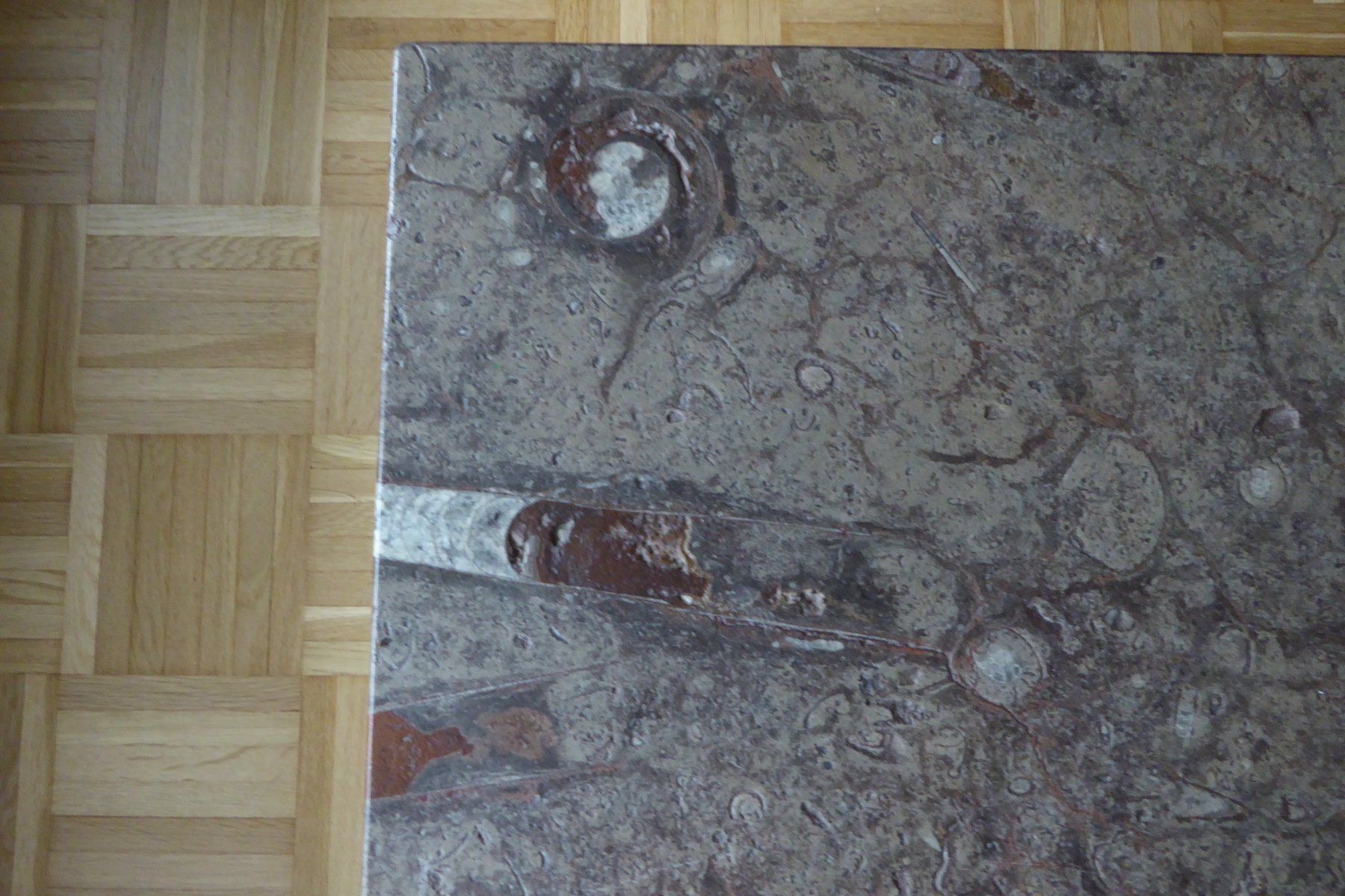 Tavoli: Salontisch Natursteinplatte "Fossilien" – Usato da Bischofszell venduto da MZumbach 2