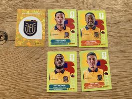 Panini FIFA World Cup 2026 Ecuador Spieler Karten