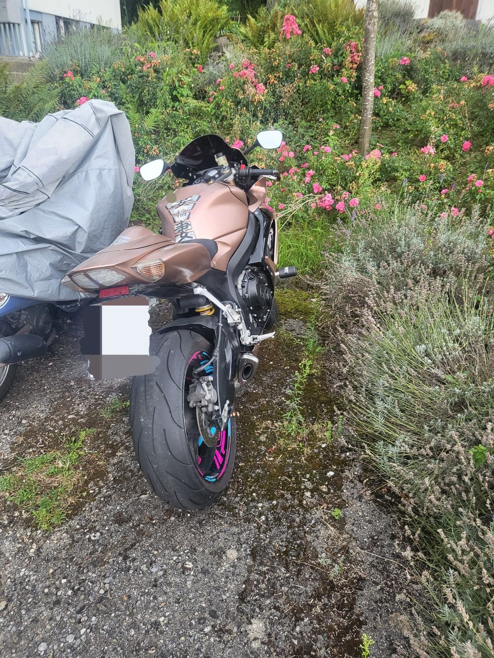 Suzuki Strada: Suzuki GSXR 600 K6 – Usato da Belp venduto da and_6786 3