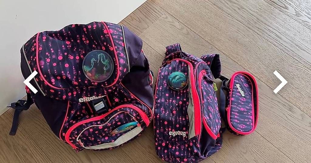 Ergobag Borse & Zaini: Ergobag Schulrucksack – Usato da Starrkirch-wil venduto da cloulou 2