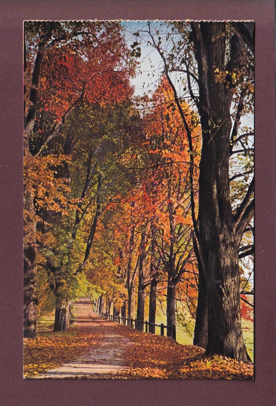 Cartoline postali: BERN - Elfenauallee – Usato da Pully venduto da nicecards