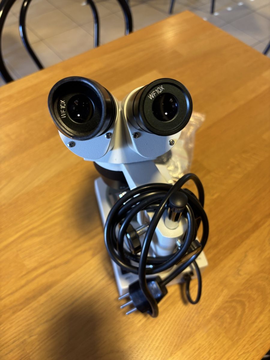 Mikroskopie: Stereomicroscope PARALUX WF – Gebraucht aus Morges von Brunocunha05 3