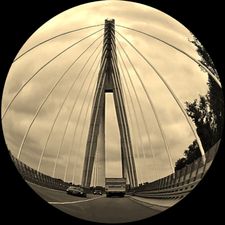 Profile image of linkel