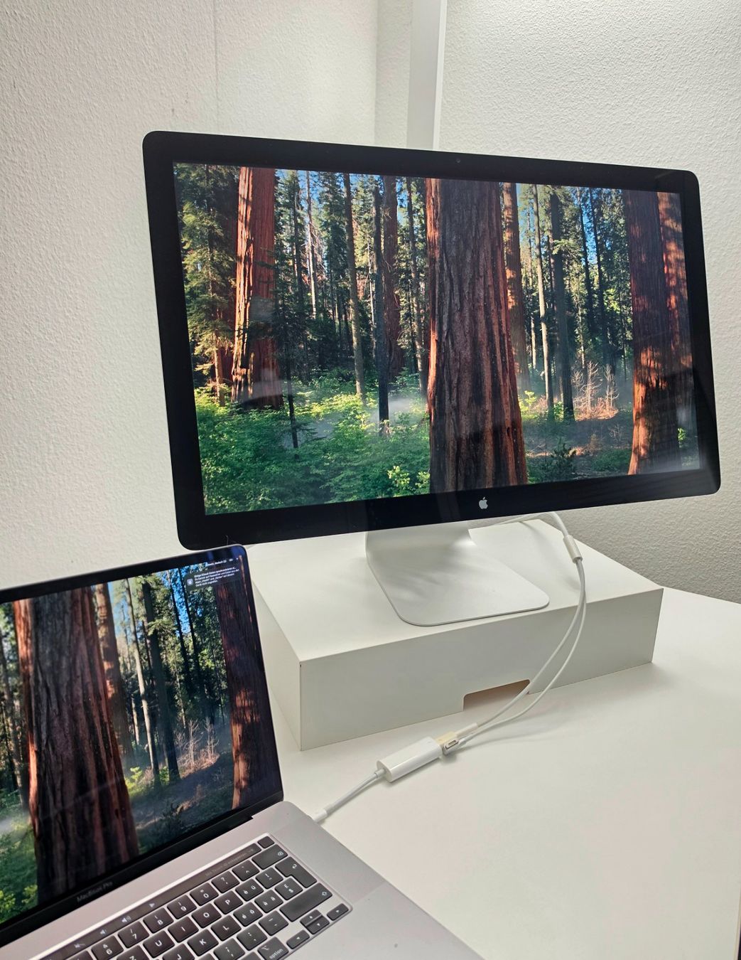 Apple Monitore: Apple Thunderbolt Display 27" mit VESA & USB-C Apple Adapter – Gebraucht aus Wettingen von dia_hv56 1