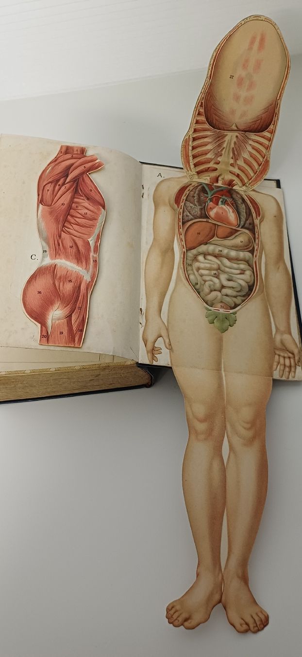 Appareils médicaux: 2 Bücher Neue Heilmethoden Platen  – D'occasion à Grosswangen par Geschenkberatung 4