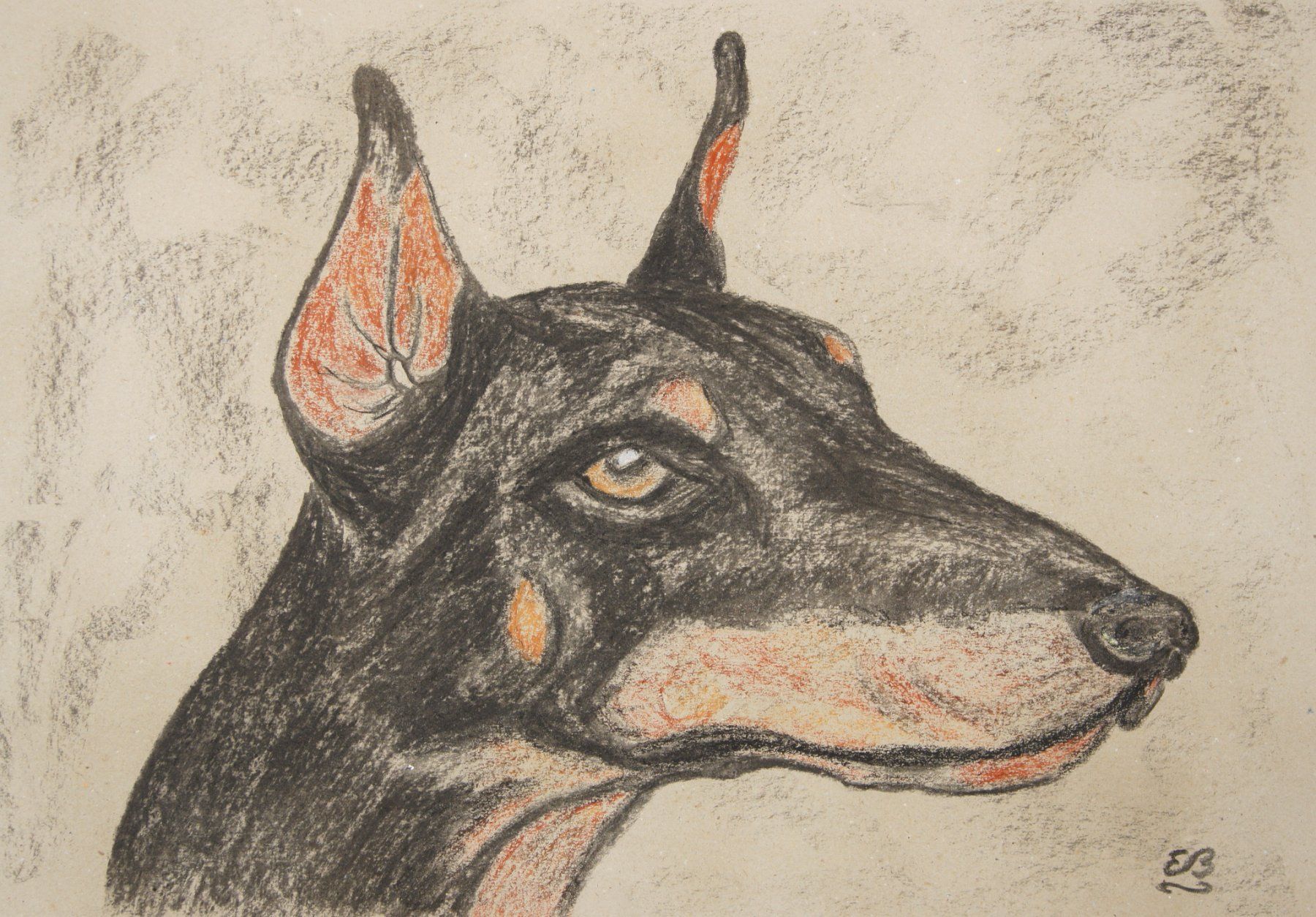 Gemälde: Kohlezeichnung: Dobermann – Neu (gemäss Beschreibung) aus Fribourg von erw_68dx