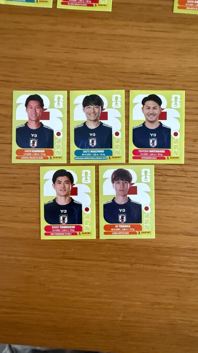 Panini Carte collezionabili: Panini Sammelbilder – Nuovo (secondo la descrizione) da Zürich venduto da shopping.basket 2