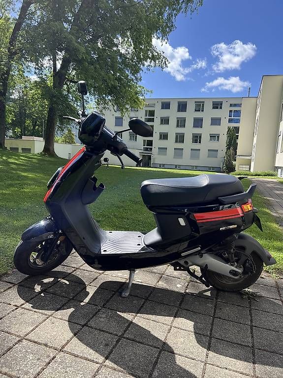 Voiturettes électriques: NIU M+ Lite – D'occasion à Effretikon par flozim. 1