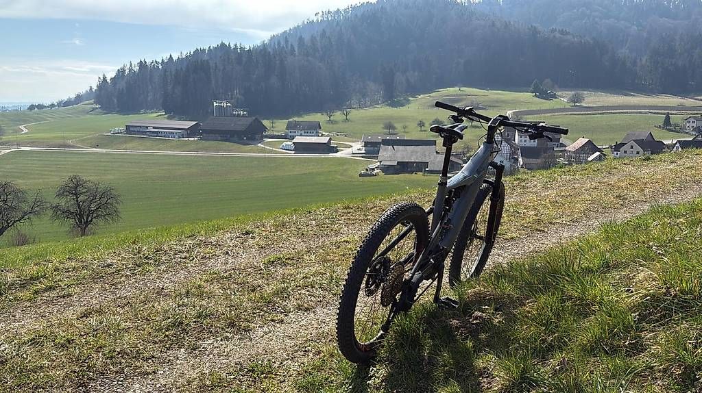 Biciclette: Elektro Velo Limited Edition – Usato da Horgen venduto da gia_7xxj 3