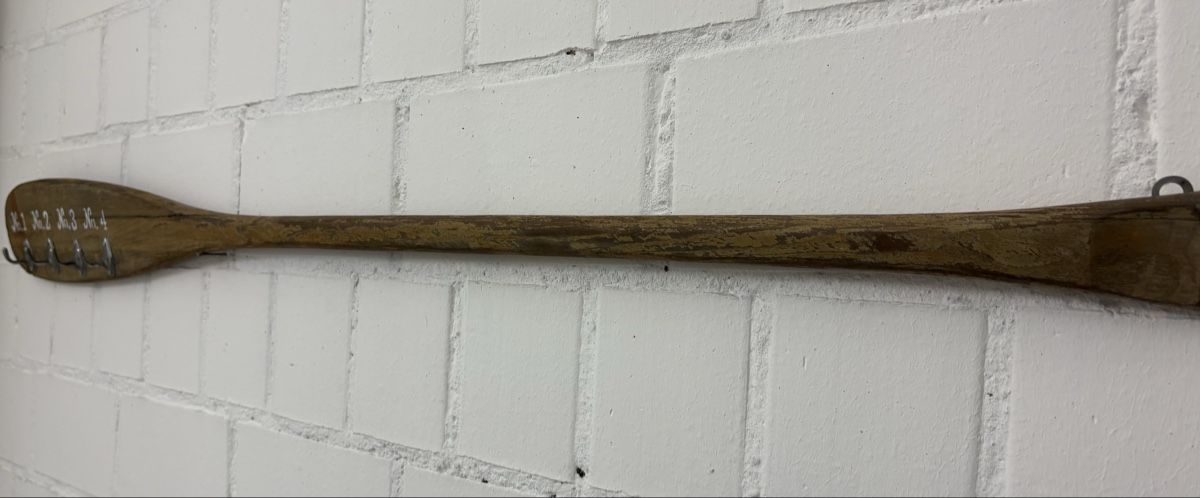 Guardaroba: Paddel Garderobe – Usato da Kesswil venduto da Nicole220870