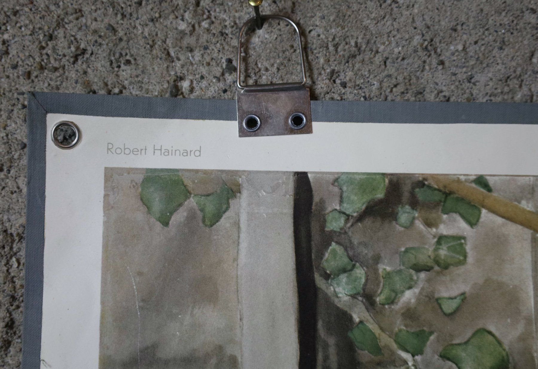 Poster & Bilder: Schulwandbild, Wandbild, Lehrbild "Igel" Robert Hainard – Gebraucht aus Birrwil von brandschatz_birrwil 4