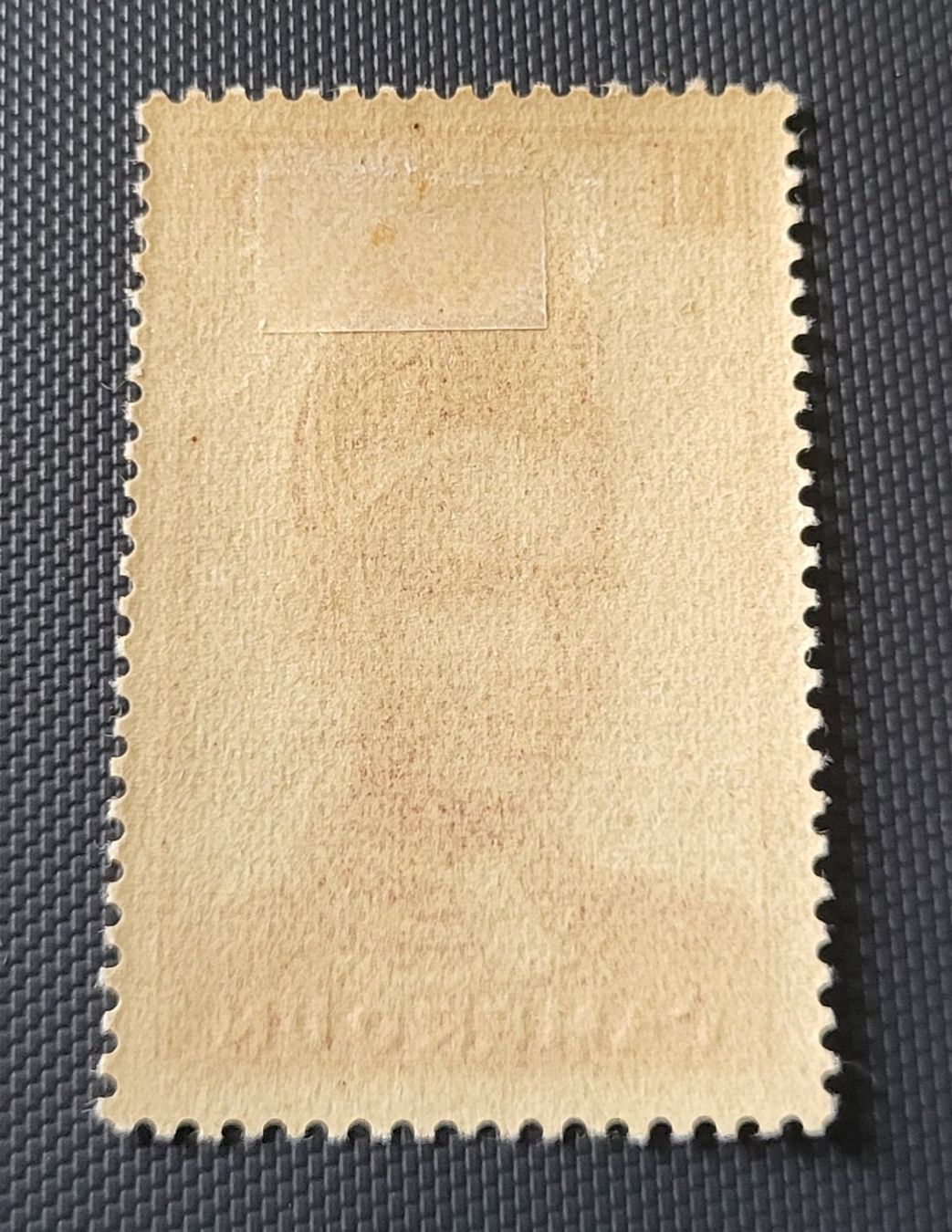 Tutti i francobolli: Kamerun 1939 briefmarke – Usato da St Gallen venduto da Stampsalshobby 1