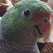 Profile image of mar_69t6