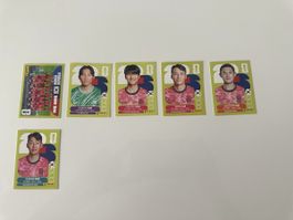 PANINI WM 2026 verschiedene Bilder Korea