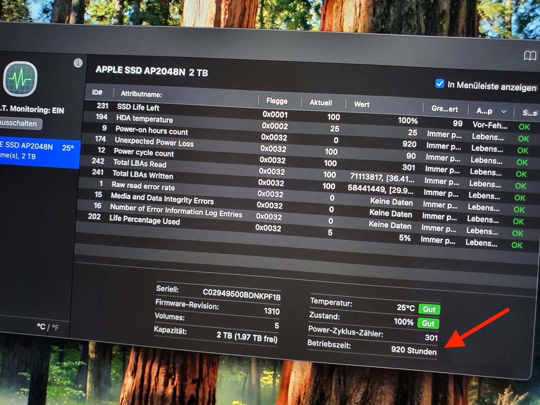 Apple Notebook: MacBook Pro 16 i9 32GB 2TB Top – Usato da Winterthur venduto da Nooitgedagt 7