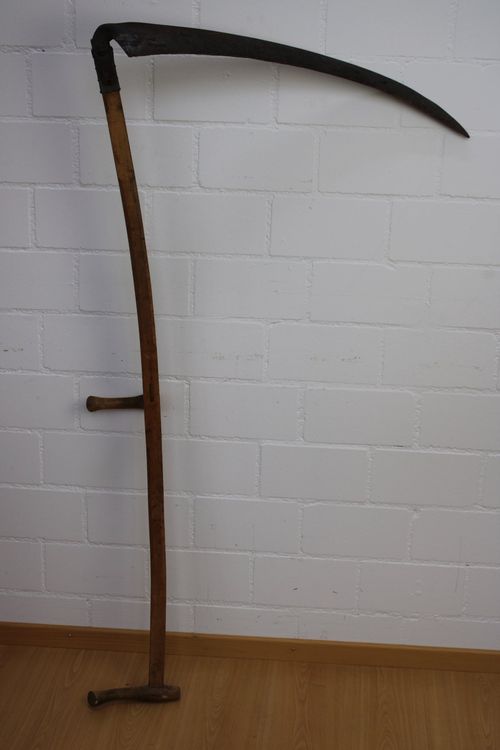 Sense Kaufen auf Ricardo