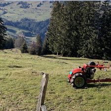 Profile image of Grubenwald11