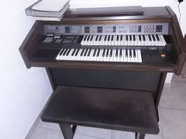 Orgel
