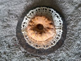 Süsse, sehr alter,Vintage Kuchen, Handarbeit fürs Puppenhaus