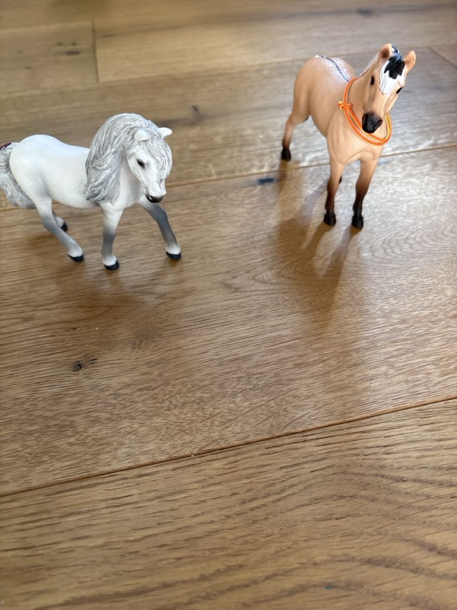 Schleich Giocattoli: Schleich Pferde mit einem Halsring(8) – Nuovo (secondo la descrizione) da Meiringen venduto da enilorac2000