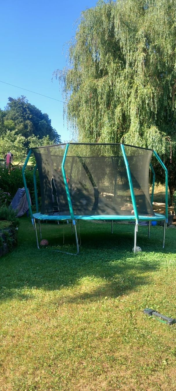 Trampolini: Trampolin – Usato da Ersigen venduto da Forstfichte 2