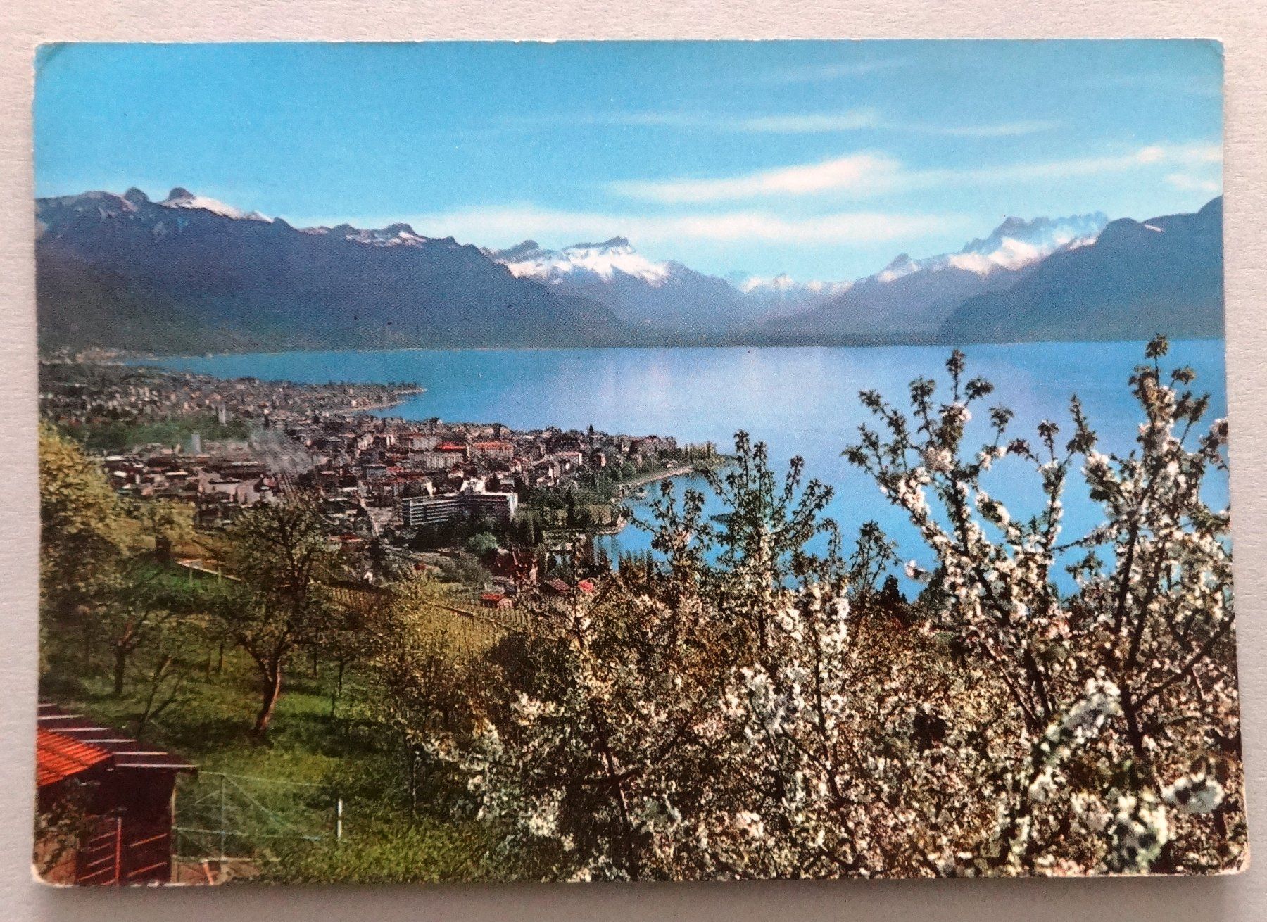 Cartoline postali: Vevey et les Alpes – Usato da Fétigny venduto da Billy2miny